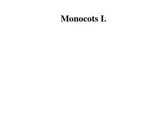 Monocots I.