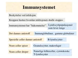 immunsystemet