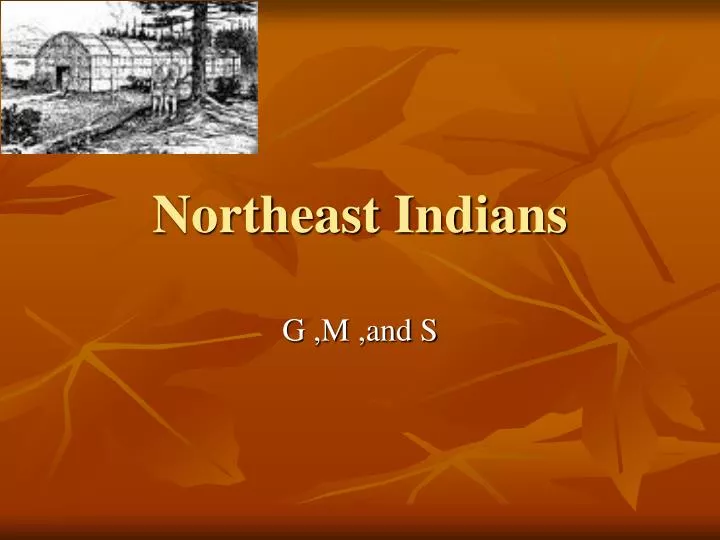 northeast indians