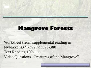 Mangrove Forests