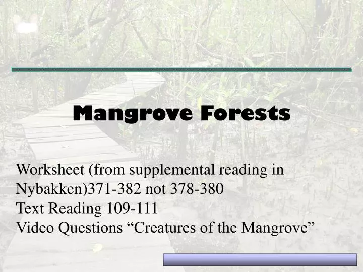 mangrove forests