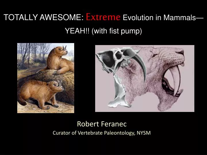 robert feranec curator of vertebrate paleontology nysm