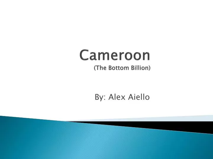 cameroon the bottom billion