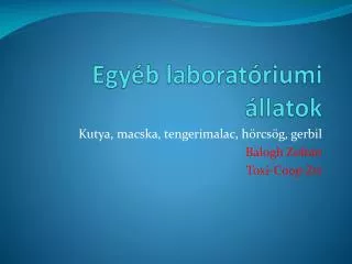 egy b laborat riumi llatok