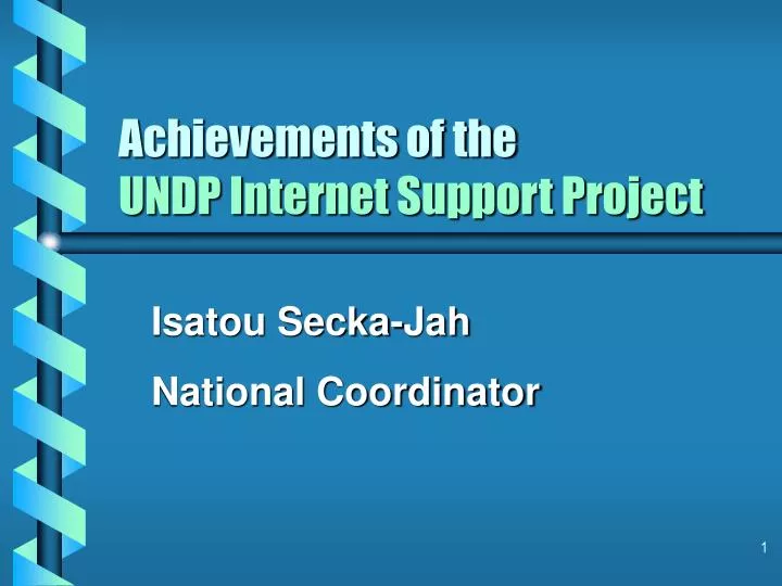 achievements of the undp internet support project