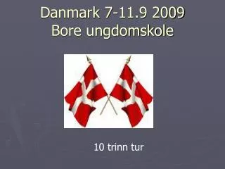 danmark 7 11 9 2009 bore ungdomskole