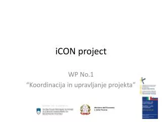 icon project