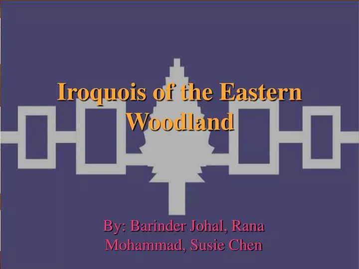 iroquois of the eastern woodland