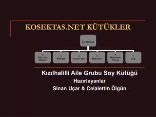 kosektas net k t kler