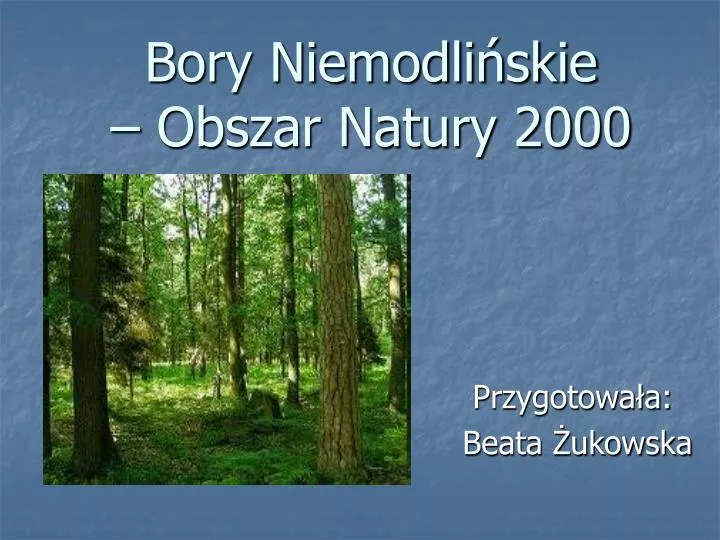 bory niemodli skie obszar natury 2000