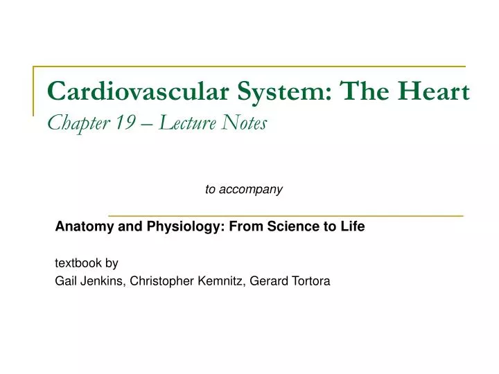 cardiovascular system the heart chapter 19 lecture notes