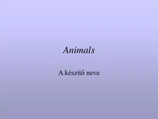animals