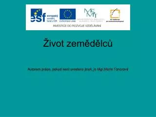 ivot zem d lc