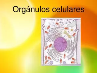 org nulos celulares