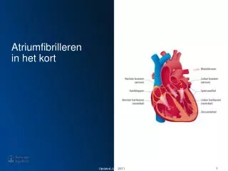 Atriumfibrilleren in het kort