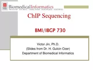 ChIP Sequencing BMI/IBGP 730