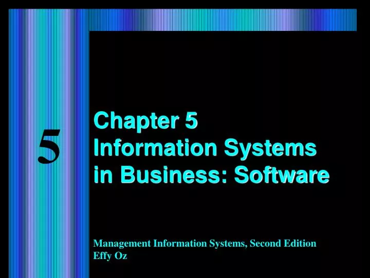 chapter 5 information systems in business software