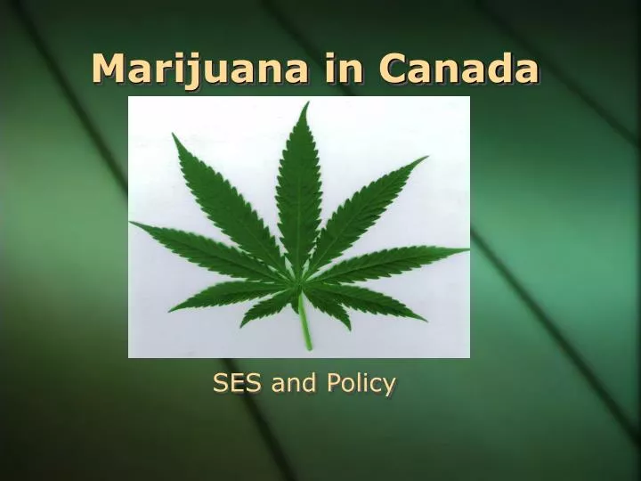 marijuana in canada