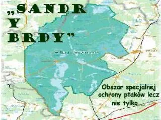 sandry brdy