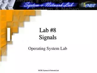 Lab #8 Signals