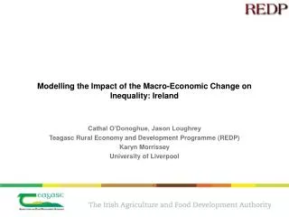 Modelling the Impact of the Macro-Economic Change on Inequality: Ireland