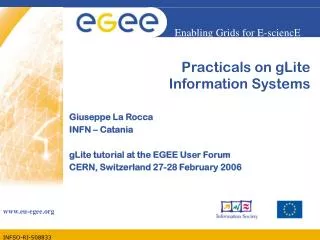 Practicals on gLite Information Systems