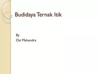 budidaya ternak itik
