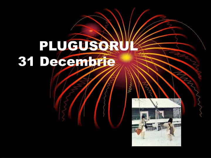 plugusorul 31 decembrie