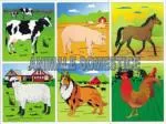 ANIMALE DOMESTICE - slide 1
