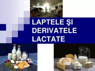 laptele i derivatele lactate