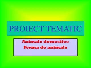 proiect tematic
