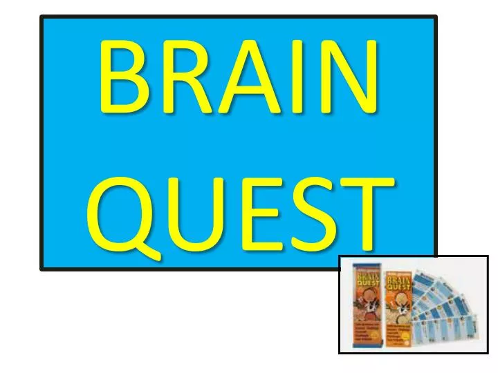 brain quest