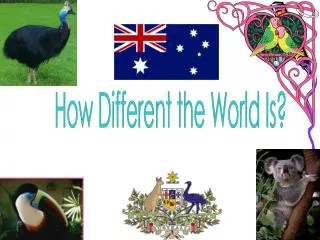 How Different the World Is?