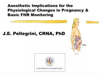 Anesthetic Implications for the Physiological Changes in Pregnancy &amp; Basic FHR Monitoring