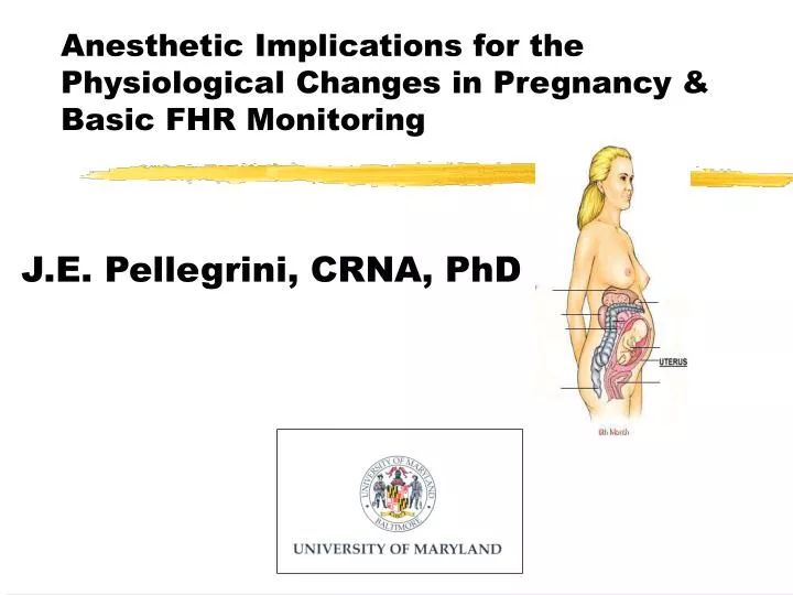 anesthetic implications for the physiological changes in pregnancy basic fhr monitoring