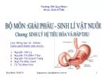 BỘ MÔN :GIẢI PHẨU - SINH LÍ VẬT NUÔI - slide 1