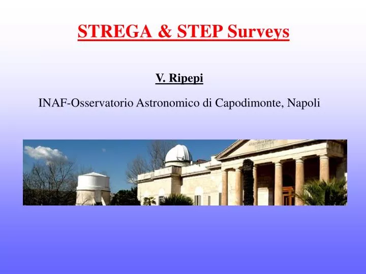 strega step surveys