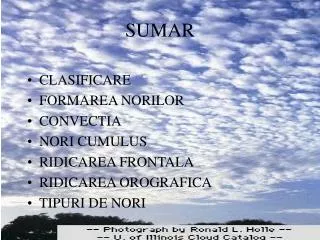 sumar