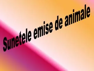 Sunetele emise de animale