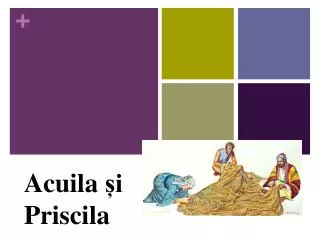 acuila i priscila