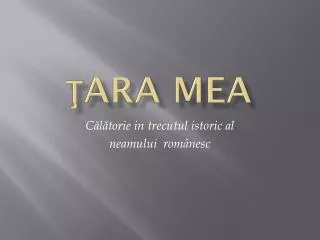 ara mea