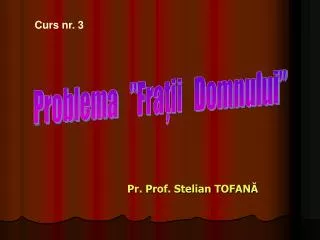 pr prof stelian tofan