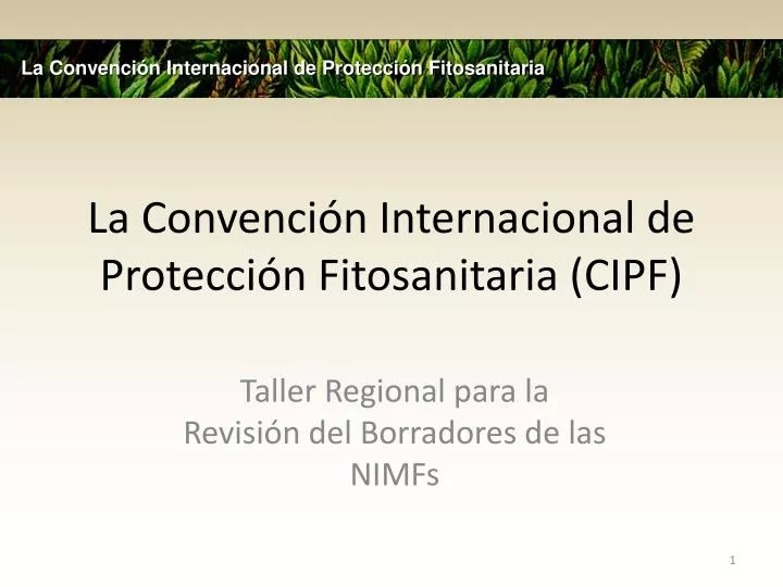 la convenci n internacional de protecci n fitosanitaria cipf
