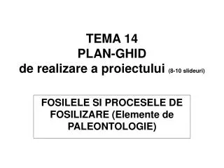 tema 14 plan ghid de realizare a proiectului 8 10 slideuri