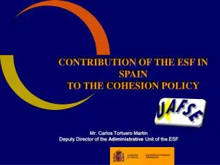 CONTRIBUTION OF THE ESF IN SPAIN TO THE COHESION POLICY