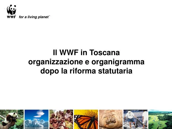 il wwf in toscana organizzazione e organigramma dopo la riforma statutaria