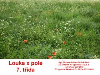 louka x pole 7 t da