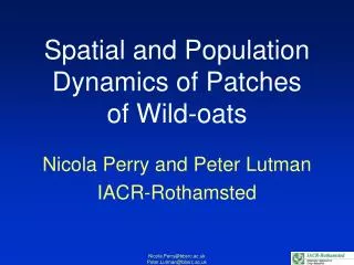 Spatial and Population Dynamics of Patches of Wild-oats