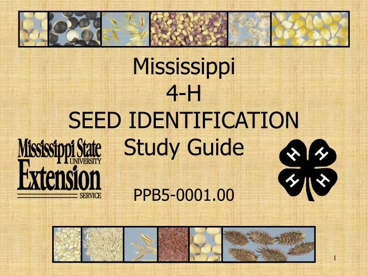 mississippi 4 h seed identification study guide