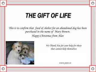 THE GIFT OF LIFE